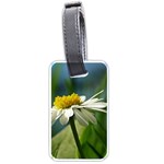 Daisy Luggage Tag (One Side) Front