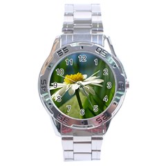 Daisy Stainless Steel Watch (men s) by Siebenhuehner