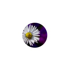 Daisy 1  Mini Button Magnet by Siebenhuehner