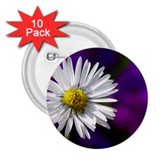 Daisy 2 25  Button (10 Pack) by Siebenhuehner