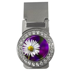 Daisy Money Clip (cz) by Siebenhuehner