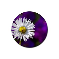 Daisy Drink Coaster (round)