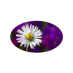 Daisy Sticker (oval)