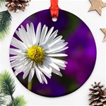 Daisy Round Ornament (Two Sides) Front