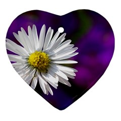 Daisy Heart Ornament (two Sides) by Siebenhuehner