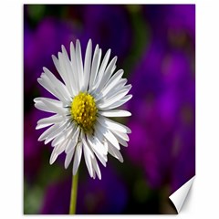 Daisy Canvas 16  X 20  (unframed) by Siebenhuehner