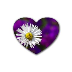 Daisy Drink Coasters 4 Pack (heart)  by Siebenhuehner