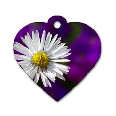 Daisy Dog Tag Heart (two Sided) by Siebenhuehner