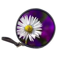 Daisy Cd Wallet by Siebenhuehner