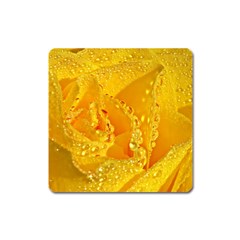 Waterdrops Magnet (square) by Siebenhuehner