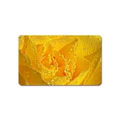 Waterdrops Magnet (name Card) by Siebenhuehner