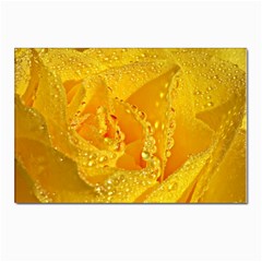 Waterdrops Postcard 4 x 6  (10 Pack) by Siebenhuehner