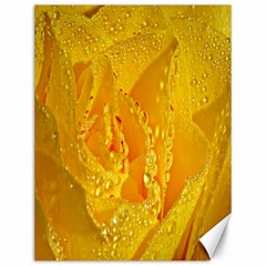 Waterdrops Canvas 12  X 16  (unframed)