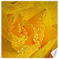 Waterdrops Canvas 16  X 16  (unframed)