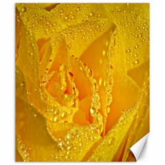 Waterdrops Canvas 20  X 24  (unframed)