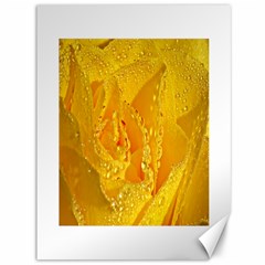 Waterdrops Canvas 36  X 48  (unframed) by Siebenhuehner