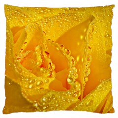 Waterdrops Large Cushion Case (two Sided)  by Siebenhuehner