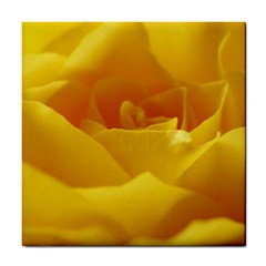 Yellow Rose Ceramic Tile by Siebenhuehner