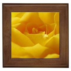 Yellow Rose Framed Ceramic Tile by Siebenhuehner