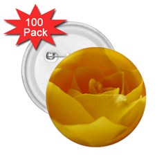 Yellow Rose 2 25  Button (100 Pack)