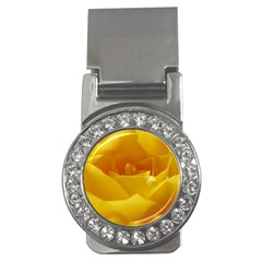 Yellow Rose Money Clip (cz) by Siebenhuehner