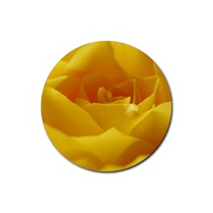 Yellow Rose Drink Coaster (round) by Siebenhuehner