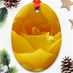 Yellow Rose Oval Ornament (Two Sides) Back