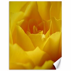 Yellow Rose Canvas 18  X 24  (unframed) by Siebenhuehner