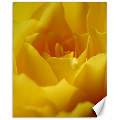 Yellow Rose Canvas 11  X 14  (unframed) by Siebenhuehner