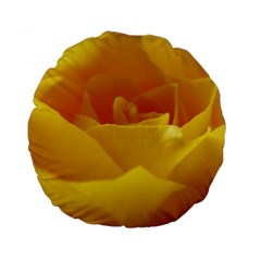 Yellow Rose 15  Premium Round Cushion 