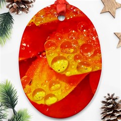 Waterdrops Oval Ornament