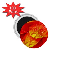 Waterdrops 1 75  Button Magnet (100 Pack) by Siebenhuehner