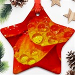 Waterdrops Star Ornament (Two Sides) Front