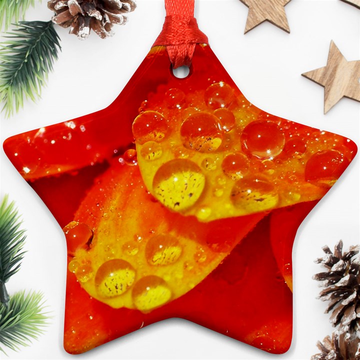 Waterdrops Star Ornament (Two Sides)