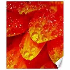 Waterdrops Canvas 20  x 24  (Unframed)