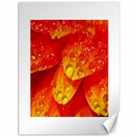 Waterdrops Canvas 36  x 48  (Unframed) 35.26 x46.15  Canvas - 1