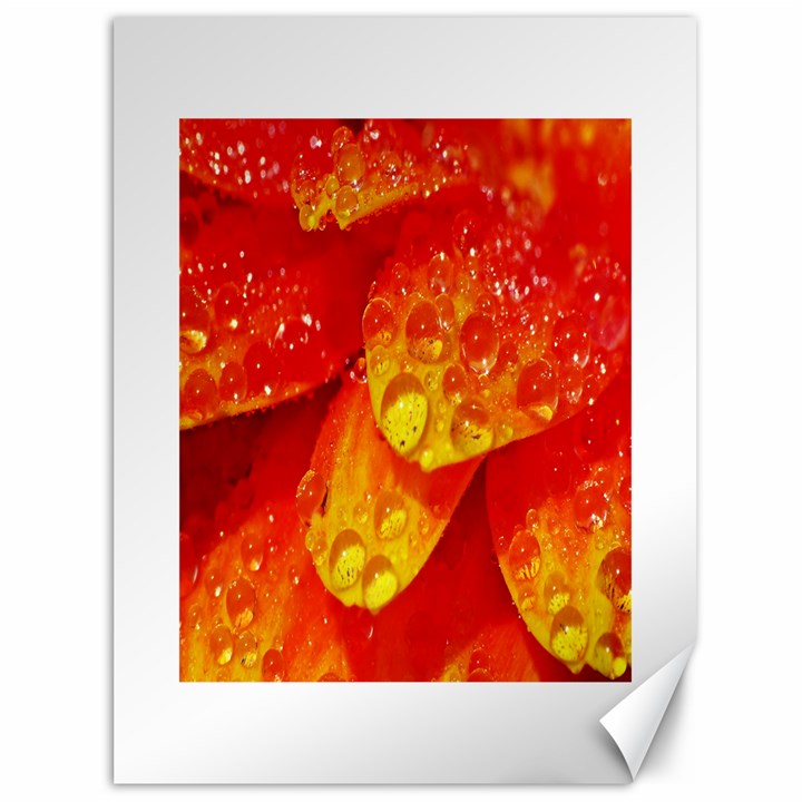 Waterdrops Canvas 36  x 48  (Unframed)