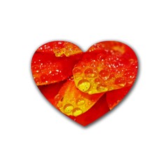 Waterdrops Drink Coasters 4 Pack (Heart) 