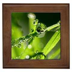 Waterdrops Framed Ceramic Tile