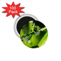 Waterdrops 1 75  Button Magnet (100 Pack) by Siebenhuehner