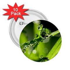 Waterdrops 2 25  Button (10 Pack) by Siebenhuehner