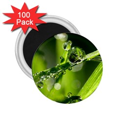 Waterdrops 2 25  Button Magnet (100 Pack)