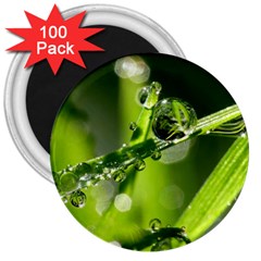 Waterdrops 3  Button Magnet (100 Pack) by Siebenhuehner