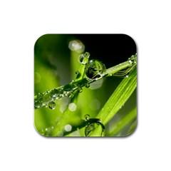 Waterdrops Drink Coasters 4 Pack (square) by Siebenhuehner