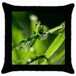 Waterdrops Black Throw Pillow Case Front