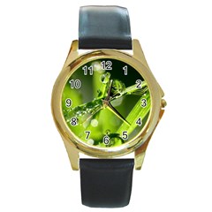 Waterdrops Round Metal Watch (gold Rim) 