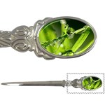 Waterdrops Letter Opener Front