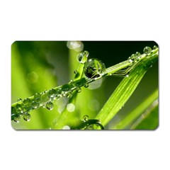 Waterdrops Magnet (rectangular)