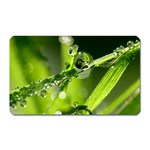 Waterdrops Magnet (Rectangular) Front