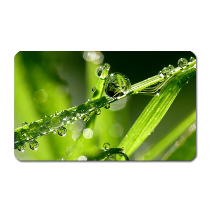 Waterdrops Magnet (Rectangular)